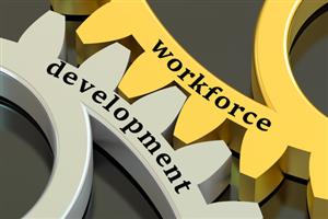 workforce dev 