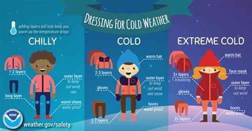 Cold Infographic