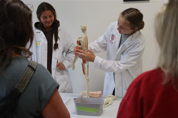 Two teen girls in lab coats stand behind a small skeleton replica, on gestures to the arm.