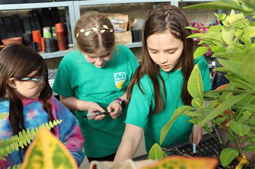  AgAcademy Garden Club plants seeds for a love of gardening