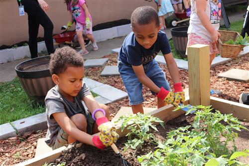 Planting plants