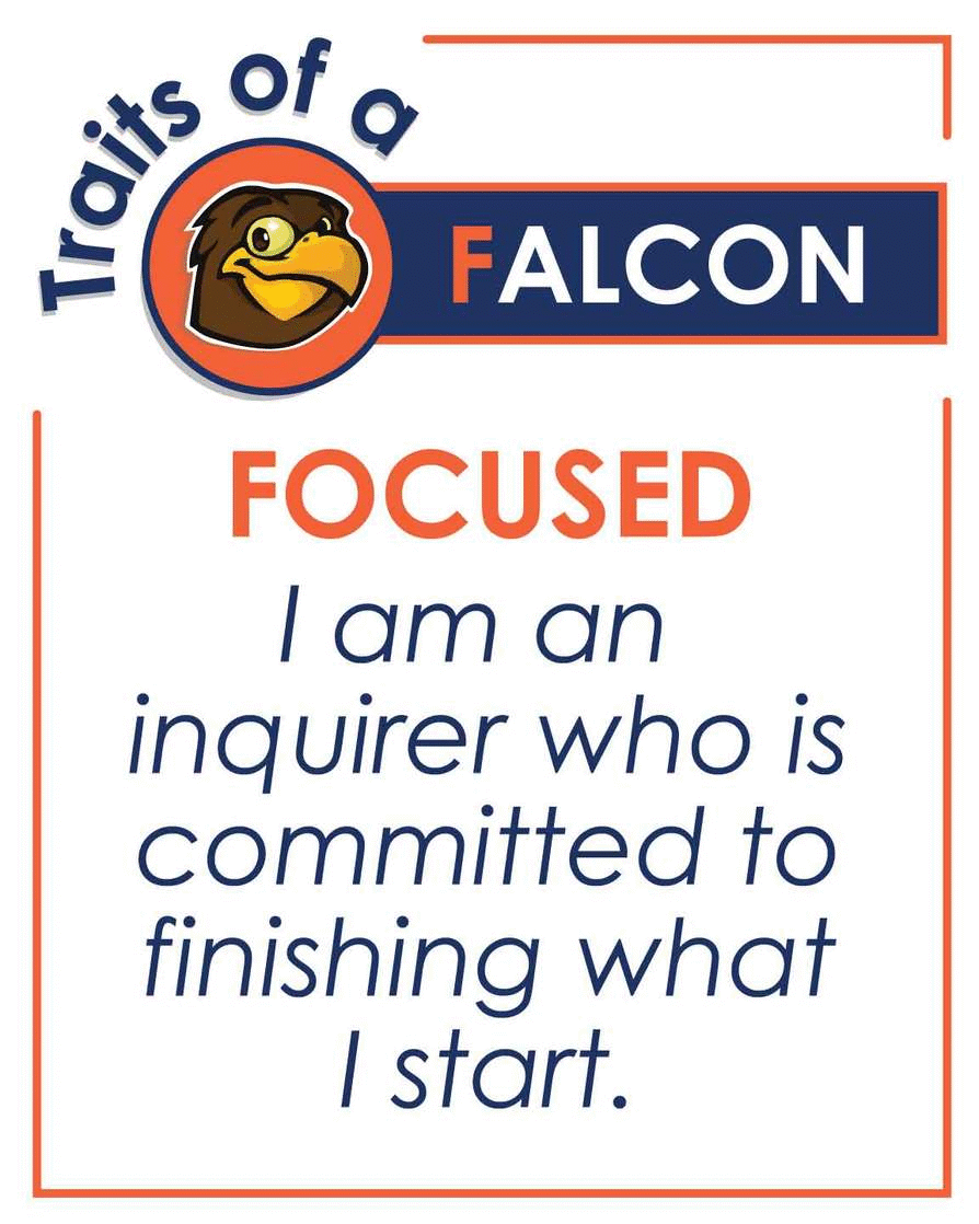 Falcon Traits 