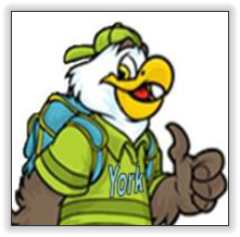 York Eagle Logo